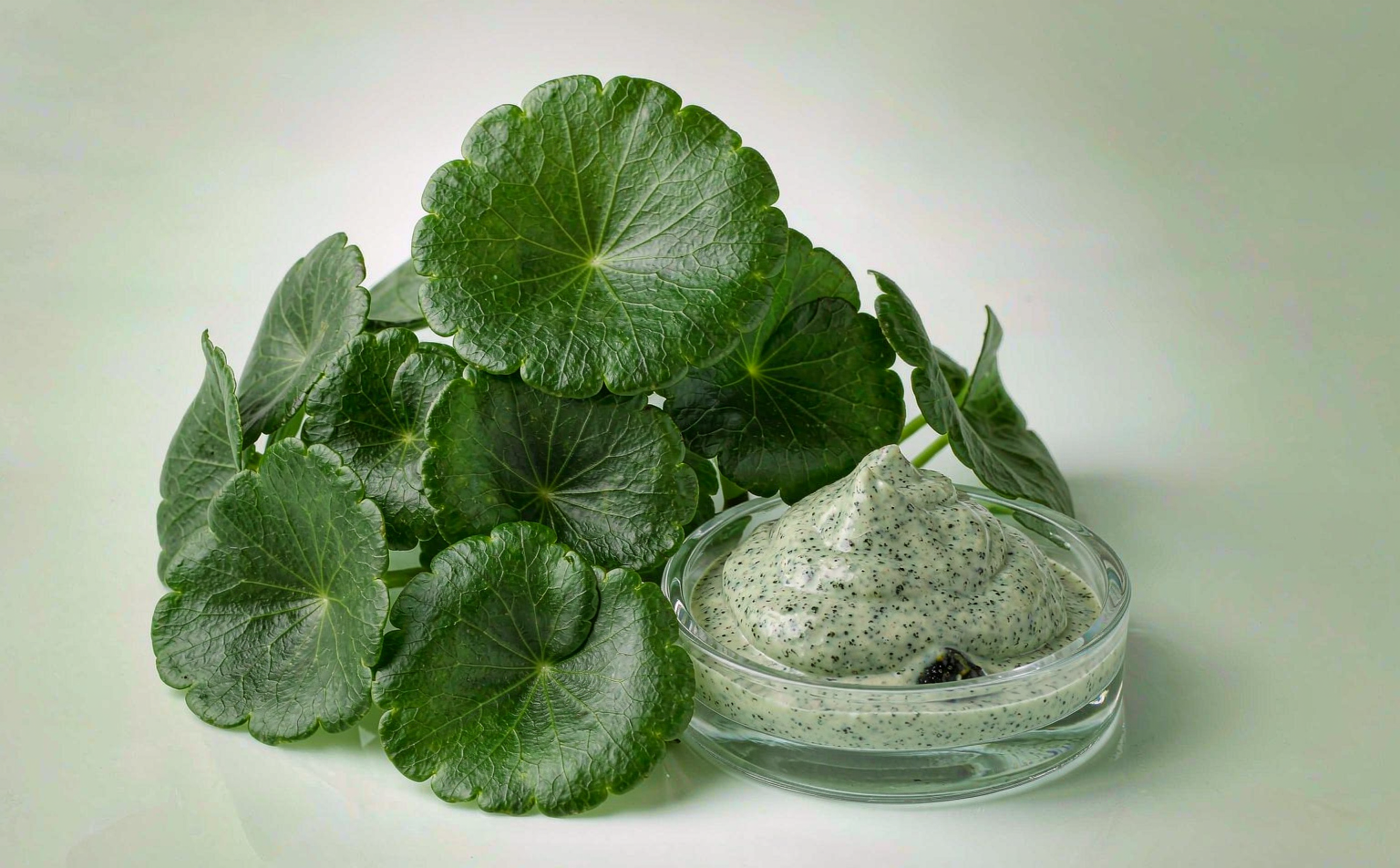 Centella asiatica leaves beside a calming cream-gel serum texture in a glass dish